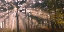 Чарівна добірка цитат з картинками №28 чарівна
