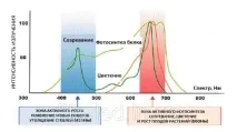 Вплив спектру світла на зростання рослин зростання