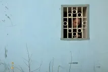 Вівіан дель Ріо «Фотографія — спосіб розповісти про свої почуття» фотографія