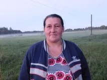 В області знову лютують вовки ріжуть овець, мисливських собак та огризаються на людей лютують