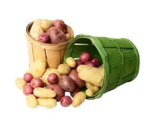 картоплі