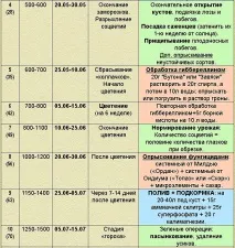 виноробство