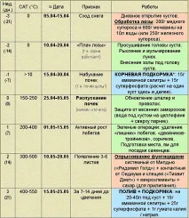 виноробство