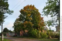 види