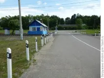 види