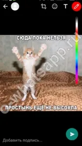 Whatsapp вкладка статус що це, навіщо потрібна і як вийти навіщо