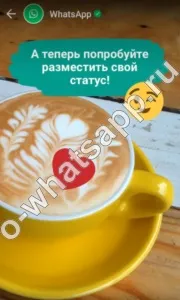 Whatsapp вкладка статус що це, навіщо потрібна і як вийти навіщо