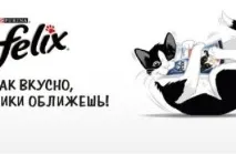 Характеристика корму для кішок Felix з відгуками ветеринарів та господарів корму