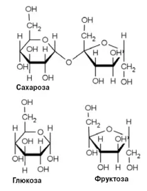 фруктозата