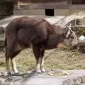 букв
