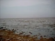 Яшалтинське солоне озеро - Природа, водоймища, водосховища, затони, ставки, озера яшалтинське