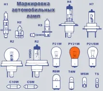 собствените