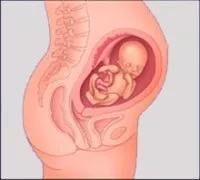 5 місяць вагітності місяць