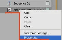 Adobe Premiere Pro 2 Adobe