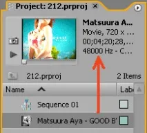 Adobe Premiere Pro 2 premiere