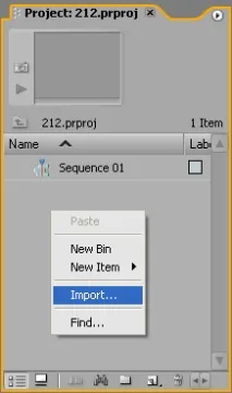 Adobe Premiere Pro 2 Adobe