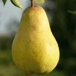 кращі