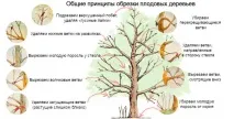 щодо
