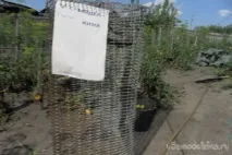 Пастки для мальків своїми руками пастки