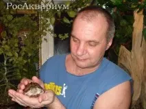 РосАкваріум вона