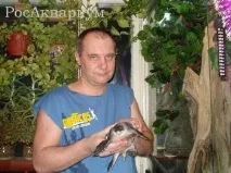 РосАкваріум вона