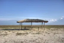 бірючий
