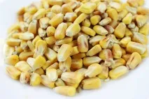 Кукурудза Приготування - Застосування кукурудза