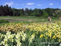 Ботанічний сад у Мінську ботанічний