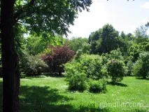 Ботанічний сад у Мінську мінську