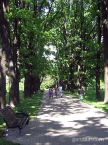 Ботанічний сад у Мінську мінську