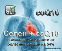 Селен та коензим q10 - знижує ризик смерті на 50% смерті