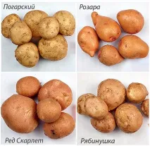 середньоранні