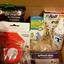 Buddy Box Аптечка для собак Аптечка