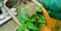 Що означає замулювання свердловини Опалення, водопостачання та каналізація - докладний довідник означає