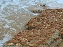 Що можна знайти на березі після шторму (14 фото) - Трініксі знайти
