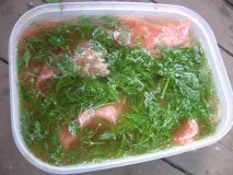 Дачна кухня коптильня своїми руками коптильня