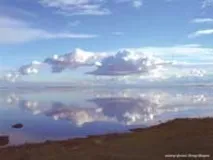 далекосхідний