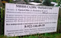 Добродушні королі акутальних піпікотиків акутальних