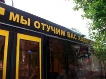 Добродушні королі акутальних піпікотиків королі
