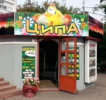 Добродушні королі акутальних піпікотиків добродушні
