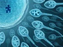 Донорство яйцеклітини, Коли можна використовувати донорський матеріал донорство