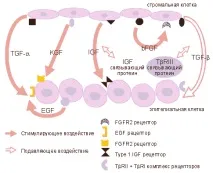 техните