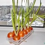 ворожки