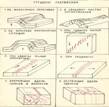 генетична