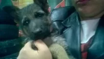 Глухий Гаряче глухий