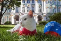 Глухий Гаряче глухий