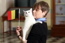 Глухий Гаряче глухий
