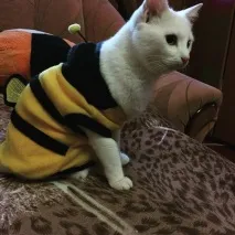 Глухий Гаряче глухий