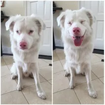 Глухий Гаряче глухий