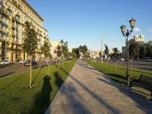 Honor 9 дворазовий